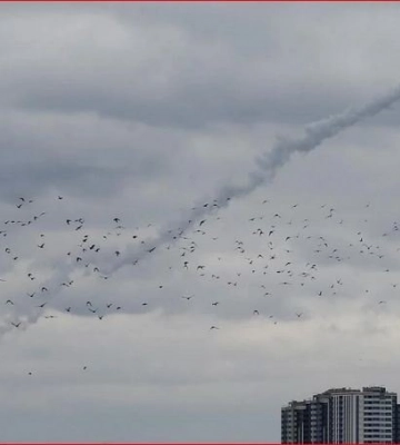 «Очень страшно было»: в оккупированном Крыму прогремели мощные взрывы