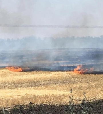 Окупанти знову обстріляли Дніпропетровську область: пошкоджено будинки, спалахнуло поле