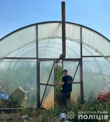 На Дніпропетровщині злочинна група висадила у теплиці коноплі на 3 мільйони гривень (ВІДЕО)