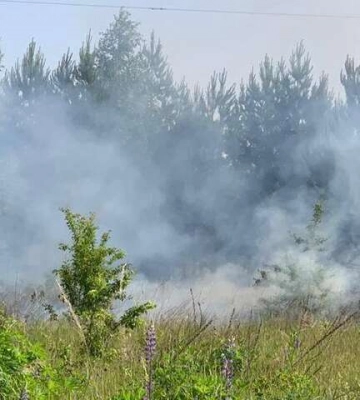 На Сумщині – «затишшя»: один обстріл за день