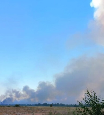 Масштабна пожежа на Дніпропетровщині: горіли 10 гектарів лісу