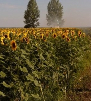 Від ворожих ударів постраждало понад 25 населених пунктів — Генштаб