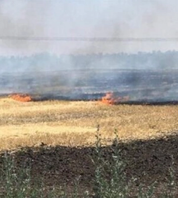 У Криворізькому районі Дніпропетровщини росіяни спалили урожай на кількох десятках гектарів, - Вілкул