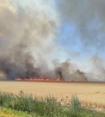 Військові РФ цілеспрямовано знищують врожай на Херсонщині