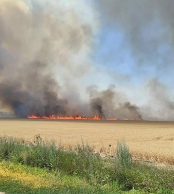 Поліція відкрила провадження щодо цілеспрямованого знищення врожаю на Херсонщині військовими рф