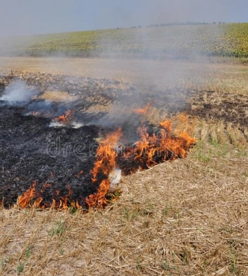У Запорізькій області окупанти підпалюють пшеничні поля