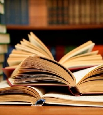За заклики до сепаратизму суд зобов’язав співробітника одеського зоопарку Устинова читати українську літературу