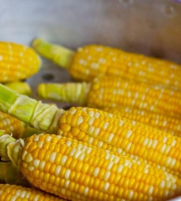 У Кирилівці на пляжі продають кукурудзу, креветки та кальмари: які ціни