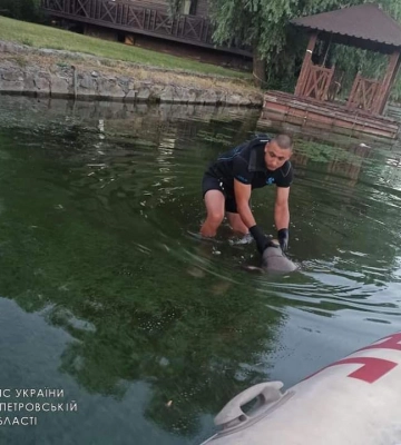 У Дніпрі на відстані трьох метрів від берега річки водолази-рятувальники вилучили тіло чоловіка
