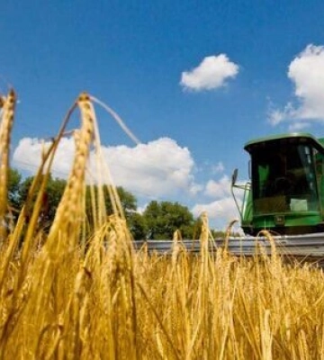 Сухий порт для експорту агропродукції будується у Волинській області, - голова ОВА Погуляйко