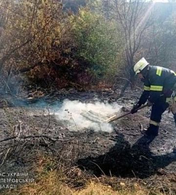 У Кривому Розі рятувальники ліквідували займання сухостою