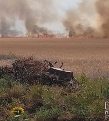 Близько 400 га полів з посівами знищено на Дніпропетровщині внаслідок бойових дій