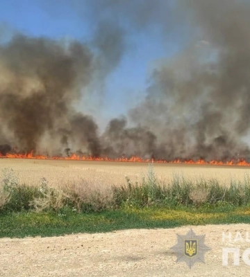 Пожежі, спричинені ворожими обстрілами, знищили понад 46,6 га пшениці та 2 га ячменю на Харківщині