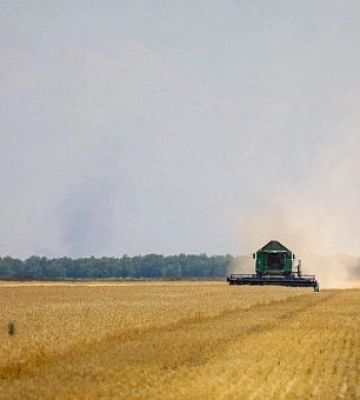 Аграрії Дніпропетровської області вже зібрали 24% зернових