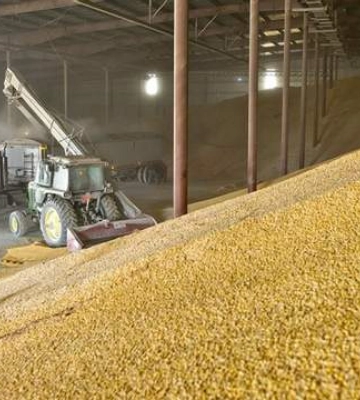 Хотіли бути в тіні: партизани знайшли колаборантів, які крадуть врожай на Запоріжжі