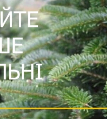 Купуйте лише чиповані: на Львівщині розпочали рейди з перевірки законності реалізації ялинок