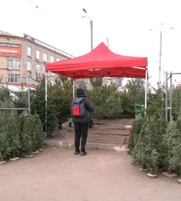 У Харкові продовжують відкриватися ялинкові базари до новорічних свят
