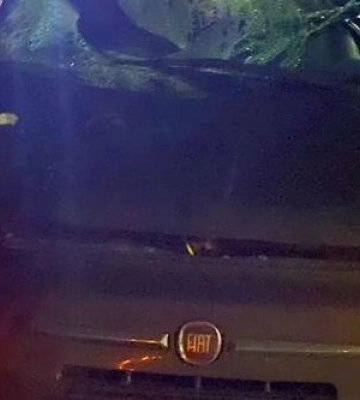 Переходив дорогу у невстановленому місці: на трасі Київ-Одеса автівка насмерть збила пішохода