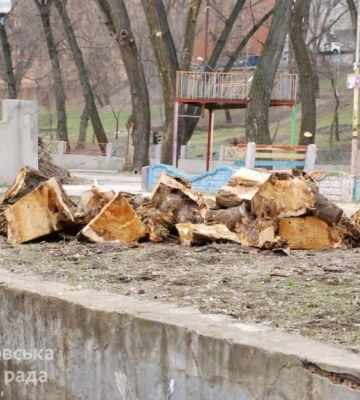 У дніпровському парку Глоби продовжують пиляти і омолоджувати дерева: що відбувається зараз