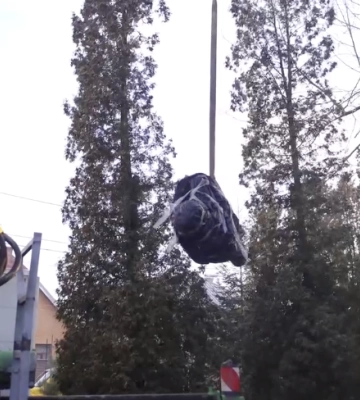 У Чернівцях знесли останній пам’ятник Пушкіну (відео)