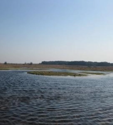 На Полтавщині у водоймі виявили тіло 19-річного хлопця