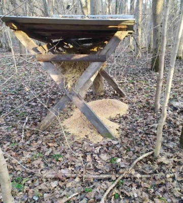 У парку «Бузький Гард» на Миколаївщині підгодовують диких тварин