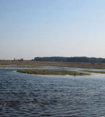 На Полтавщині потонув 19-річний юнак