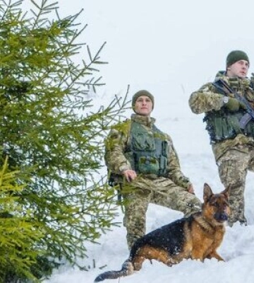 У горах Закарпаття загубилися четверо чоловіків, які намагалися незаконно перетнути кордон, організовано пошукову операцію, - Держприкордонслужба