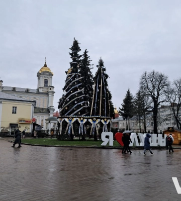 У Луцьку - одна з найдешевших ялинок. Скільки витратили інші міста України?