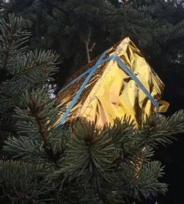 Як виглядає головна ялинка спального району Запоріжжя - фото