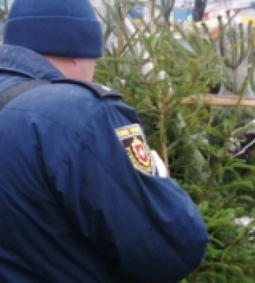 На Рівненщині правоохоронці проводять ялинкові рейди