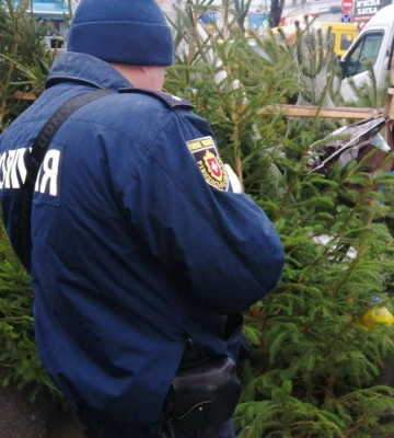 На Рівненщині поліцейські вилучили з незаконного продажу 100 новорічних дерев