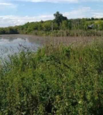 Територіальній громаді Демидівщини повернули майже 100 гектарів ставків
