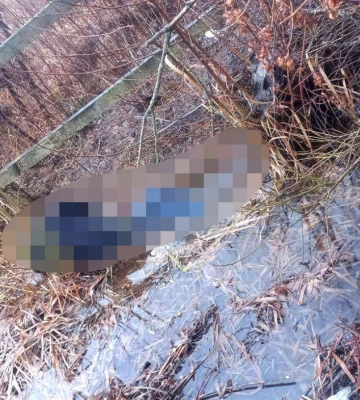 Зниклого безвісти 51-річного жителя Рівненщини знайшли мертвим біля чагарників