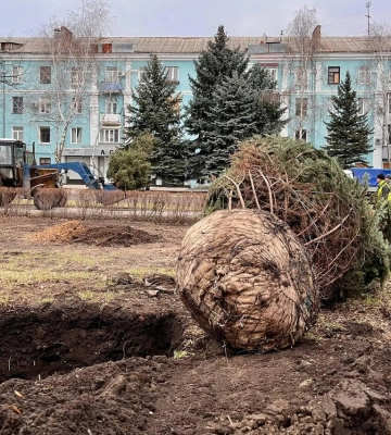 У Краматорську висадили ялинки