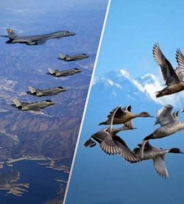 Південна Корея вперше підняла дрони над КНДР