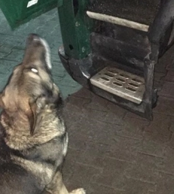 В «Устилузі» чотирилапі прикордонники виявили наркотики у далекобійників 