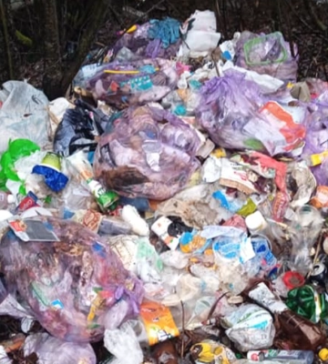 У лісовому масиві на Рівненщині влаштували звалище відходів