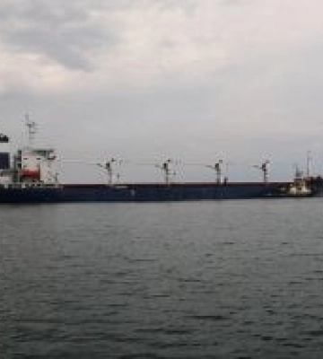 В рамках реалізації зернової ініціативи морські прикордонники оглядають судна що йдуть до портів Одеської області