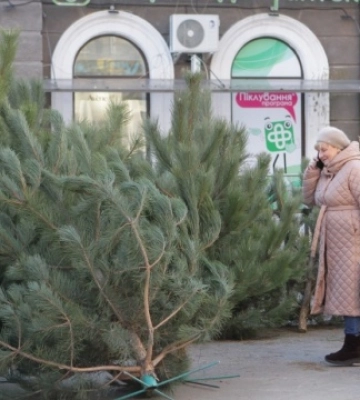У Києві пункти утилізації новорічних ялинок працюватимуть до кінця січня