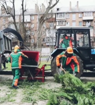 У Києві пункти утилізації новорічних ялинок працюватимуть до кінця січня