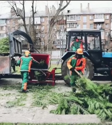 У Києві створять 17 пунктів утилізації ялинок
