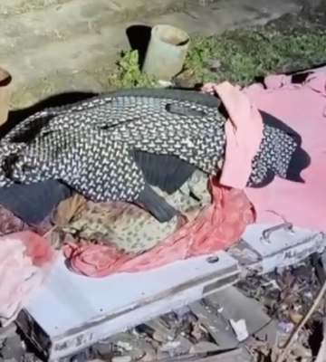 Внаслідок обстрілу Донецька загинула жінка, двоє людей поранено