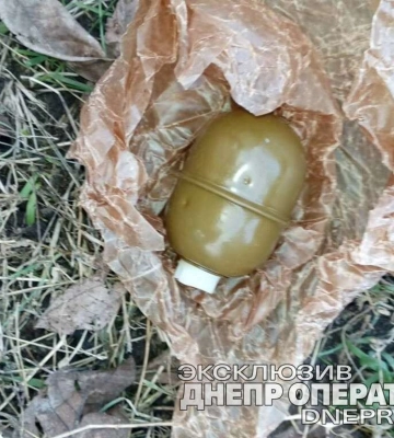 У Дніпрі на Сєченова у сміттєвому баку знайшли міни та гранати