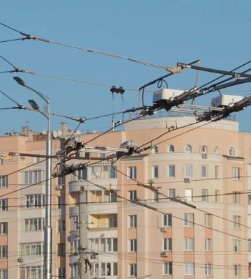 У Львові проведуть капітальний ремонт трьох тролейбусних ліній