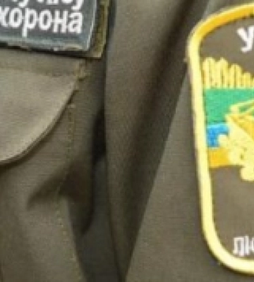 На Закарпатті створять рейдові групи для боротьби з лісопорушеннями