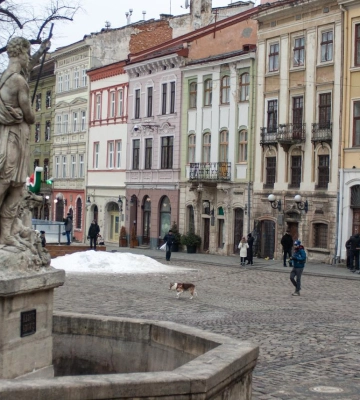 Шахрай з Кременчука «квартирував» переселенців на Львівщині
