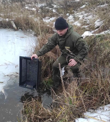 У новорічну ніч на Волині чергуватимуть понад пів тисячі правоохоронців