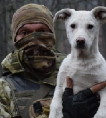 Закарпатські прикордонники повернулись з фронту разом з врятованими тваринами