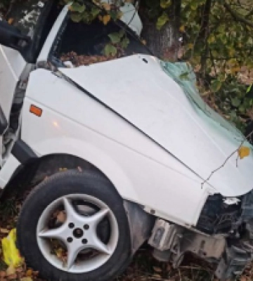П’яним врізався в дерево: у Луцьку судили горе-водія